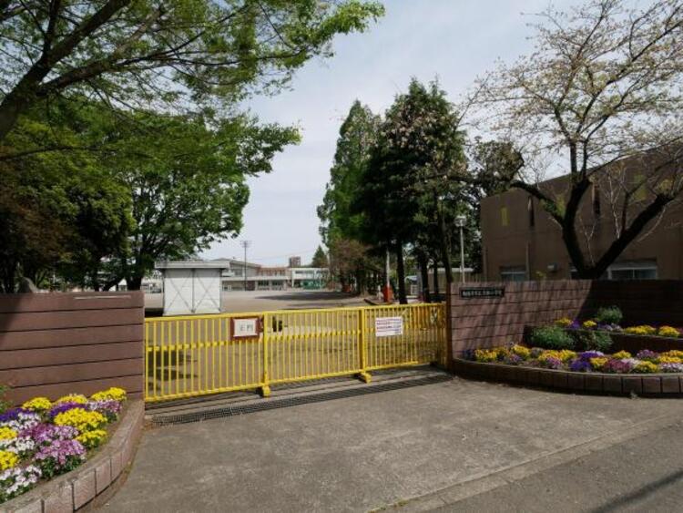 周辺 清新小学校まで約704ｍ