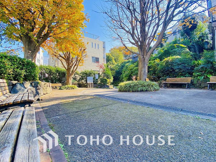 周辺 三ツ沢せせらぎ緑道 水門広場　距離700ｍ