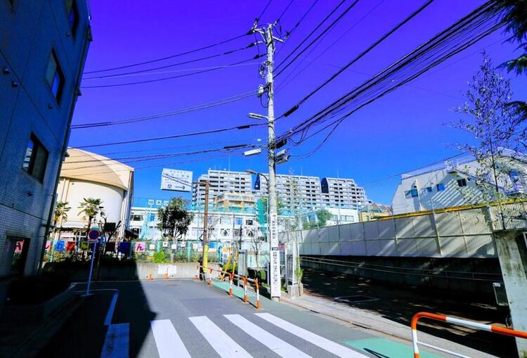 周辺 新宿区立柏木小学校