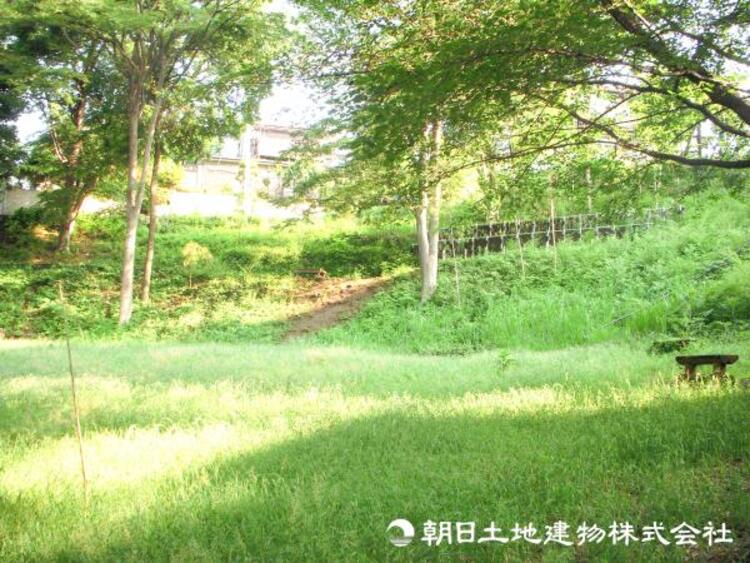 周辺 野川ふれあいの森150ｍ