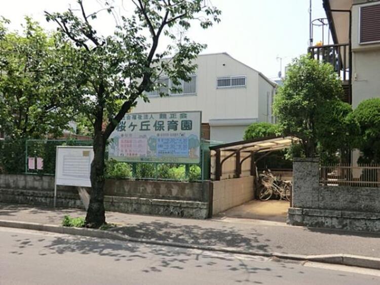 周辺 桜ヶ丘保育園まで約530ｍ