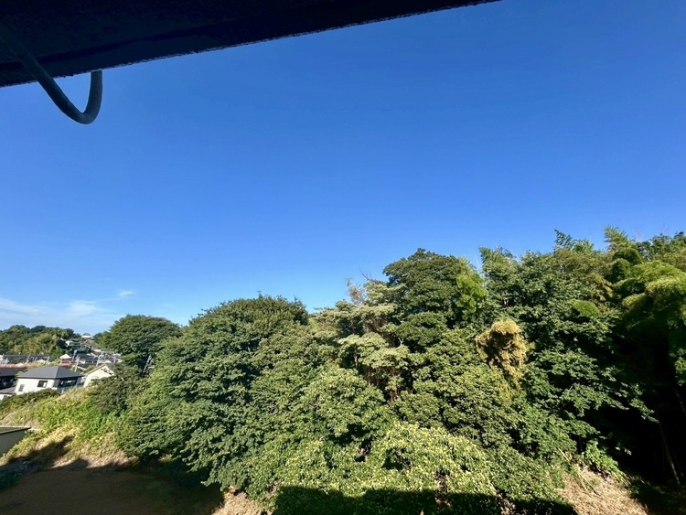 その他 陽当たり・通風・開放感に恵まれた環境です。