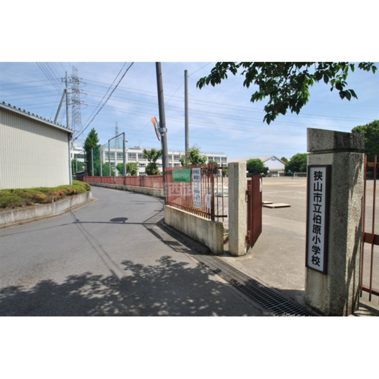 周辺 柏原小学校(約2000m)