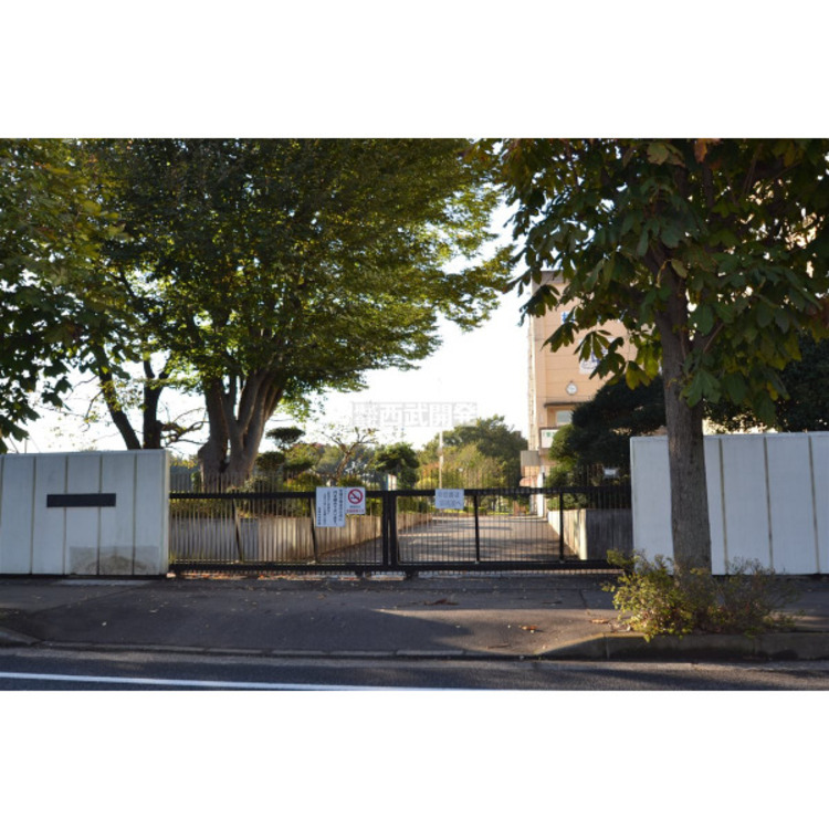 周辺 柏原中学校(約1900m)