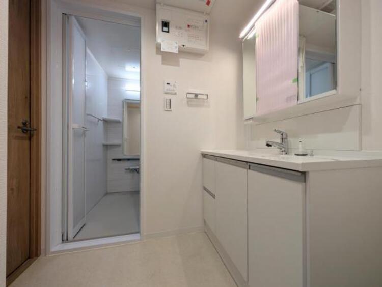 その他 ●〇平日の朝であっても、落ち着きとくつろぎを感じられる。歯磨き粉が行方不明になるようなごちゃごちゃ感も解消。収納力の高い洗面所です。　コーディネートされた空間で気持ちよく身だしなみを整えられます　〇●