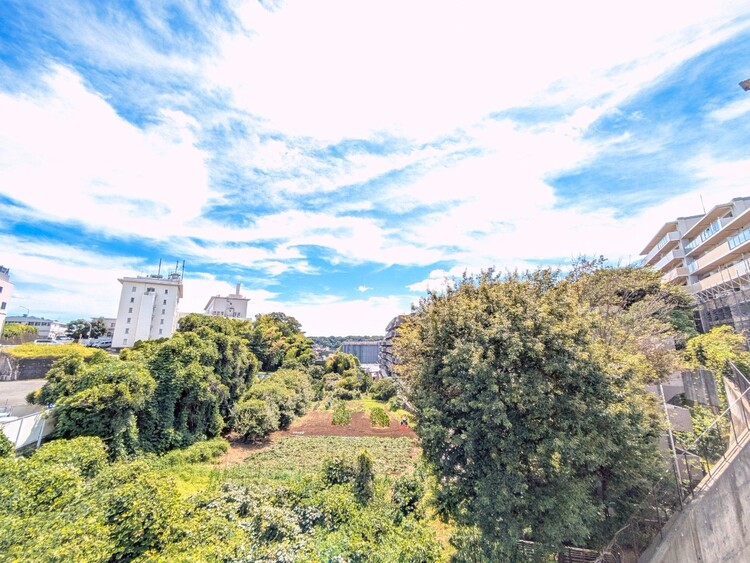 その他 陽当たり・通風・開放感に恵まれた環境です。