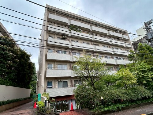 田園調布ハイツの物件画像
