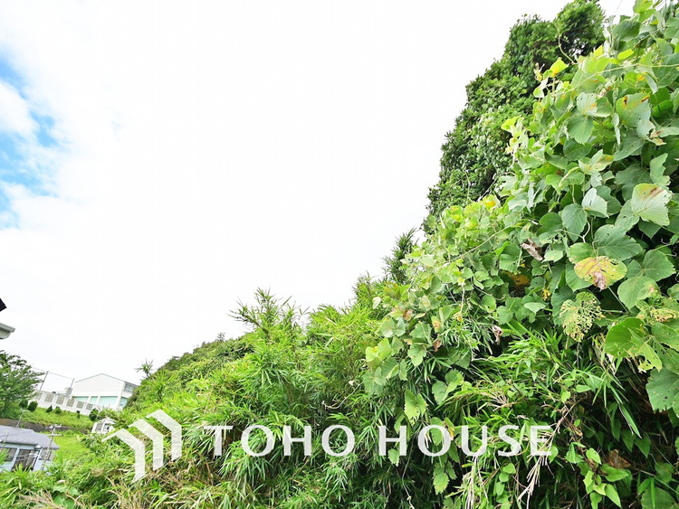 その他 住戸からの眺望