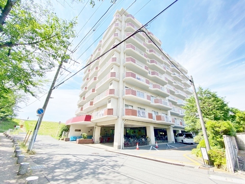 市川江戸川堤マンションの物件画像