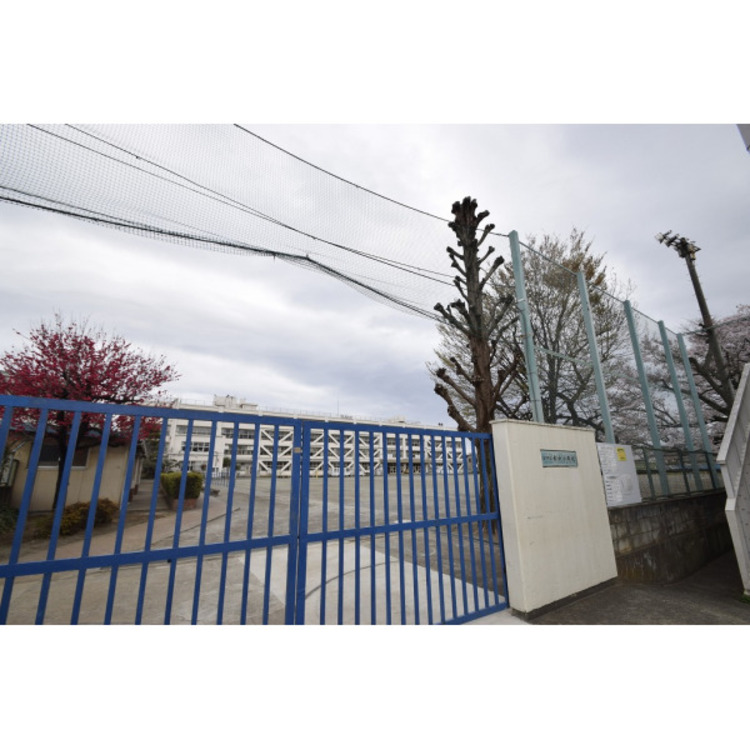 周辺 松中小学校(約1010m)