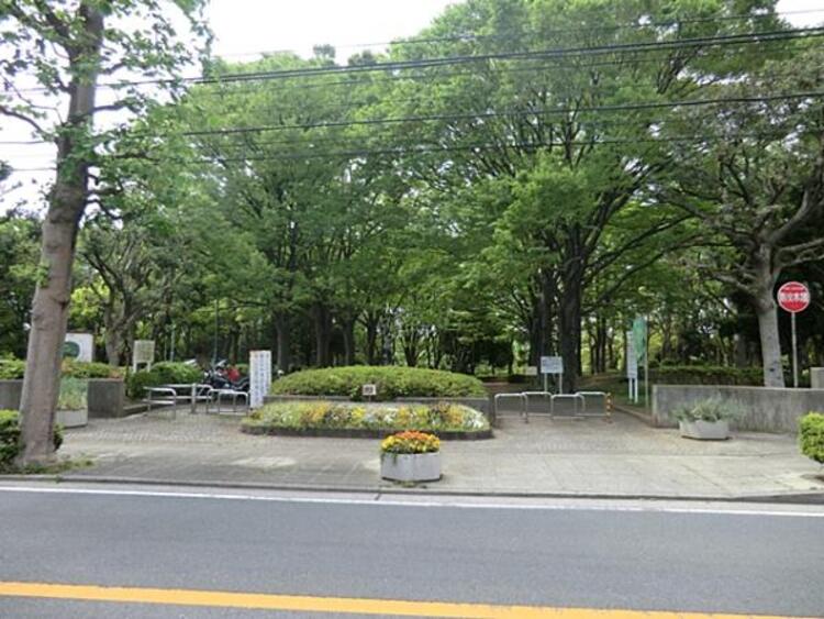 周辺 根岸森林公園 350m