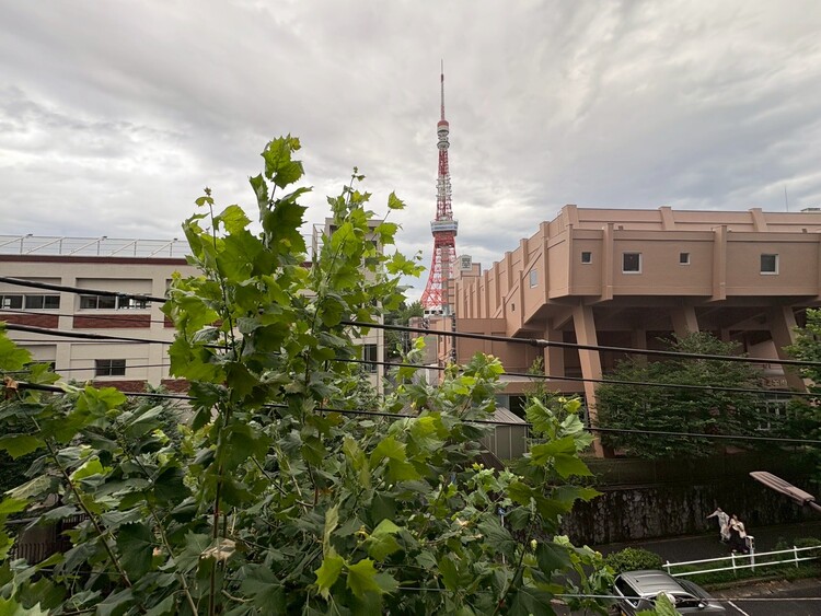 その他 眺望や窓からの景色が良いと、家で過ごす時間も快適です。