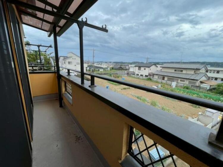 その他 【2025年8月撮影】