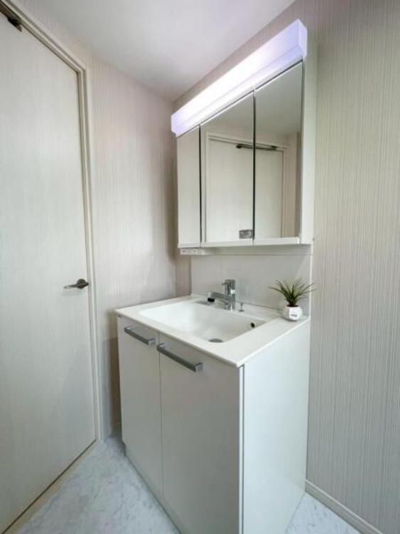 洗面 鏡面裏が収納となっており小物もすっきりと収納できる洗面台 