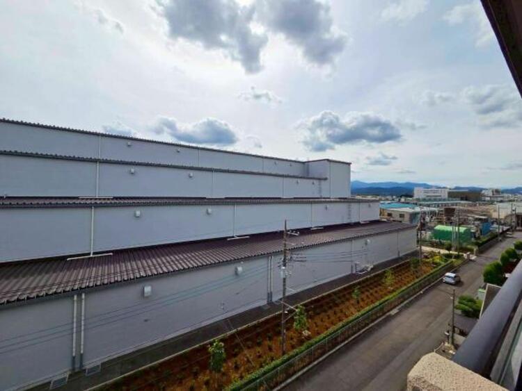 その他 【2025年9月撮影】