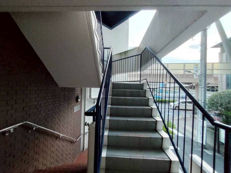 その他 共用部の階段です。明るく清潔に管理されています。