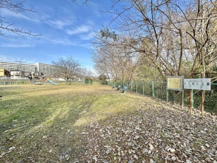 周辺 とりおい公園迄250ｍ