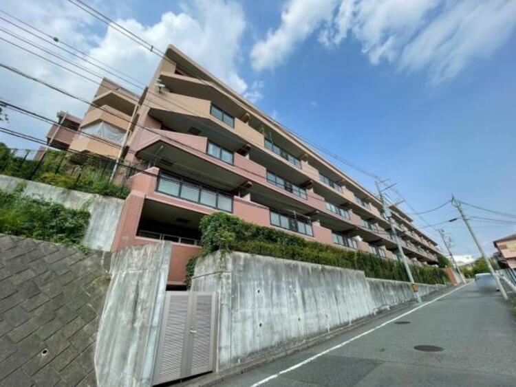 その他 【2025年8月撮影】