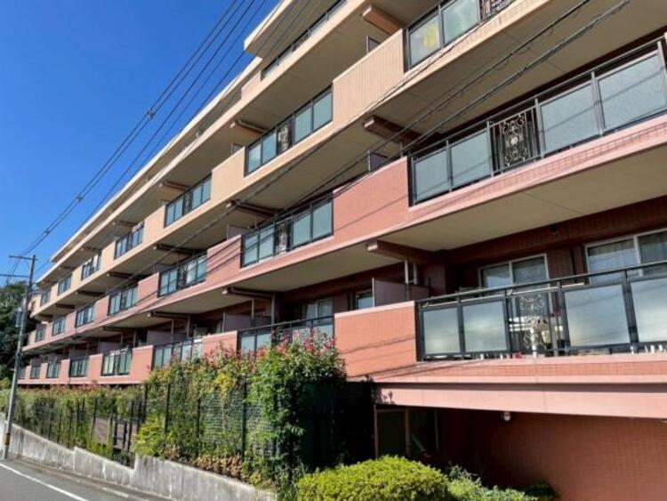 その他 【2025年8月撮影】