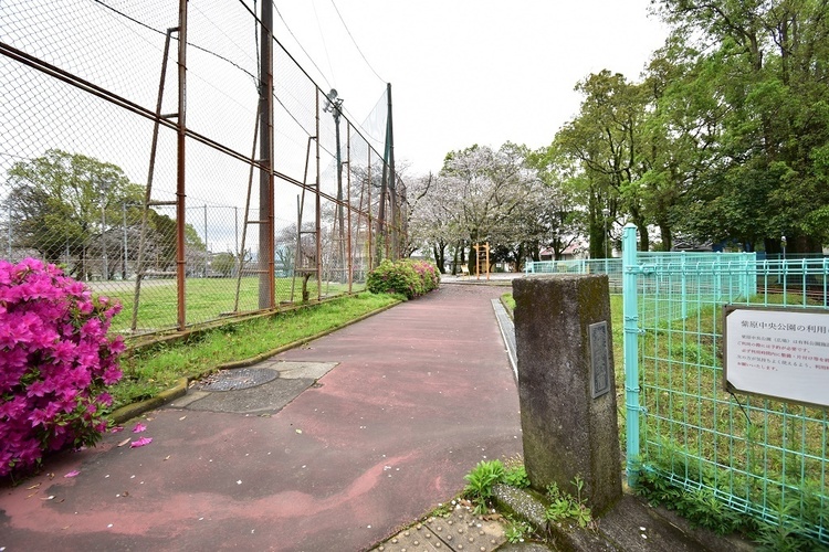 周辺 【紫原中央公園】鹿児島市紫原4丁目にある公園です駐車場8台ありテニスコートあり広場あり（ソフトボールやサッカー、野球の練習利用可能、ナイター使用も可能） 徒歩 約8分（約620m）