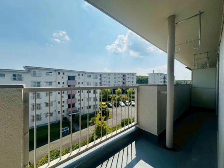 その他 【2025年8月撮影】