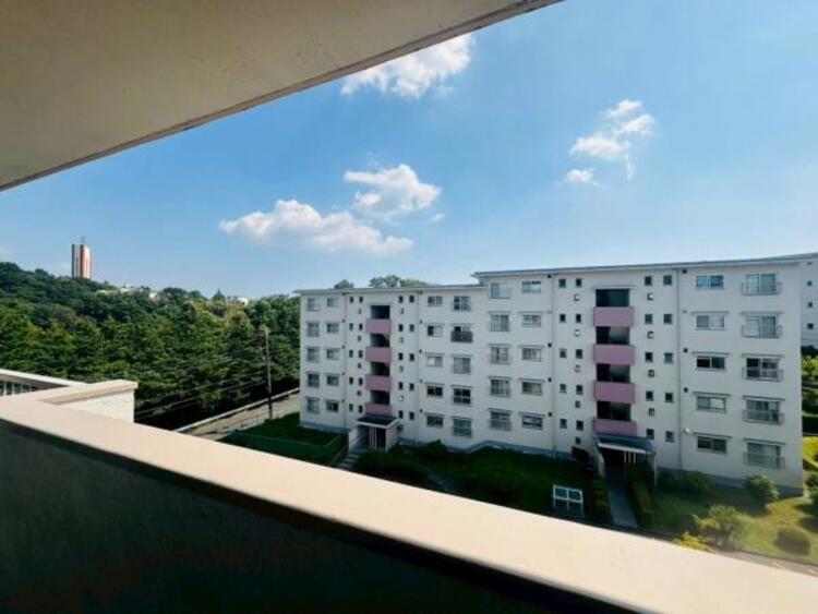 その他 【2025年8月撮影】