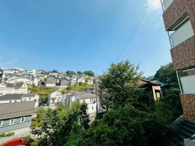 その他 【2025年8月撮影】