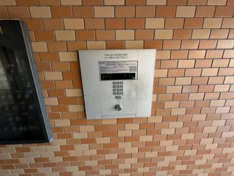 その他 【2025年8月撮影】