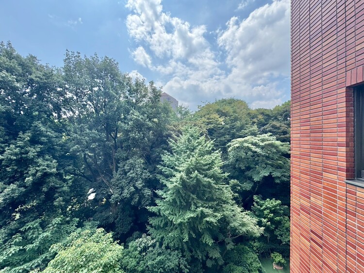 その他 陽当たり・通風・開放感に恵まれた環境です。