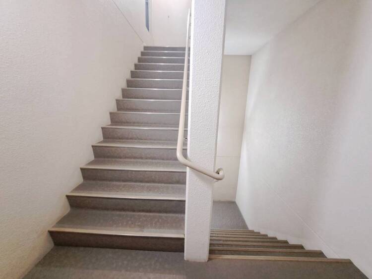 その他 共用部の階段です。明るく清潔に管理されています。