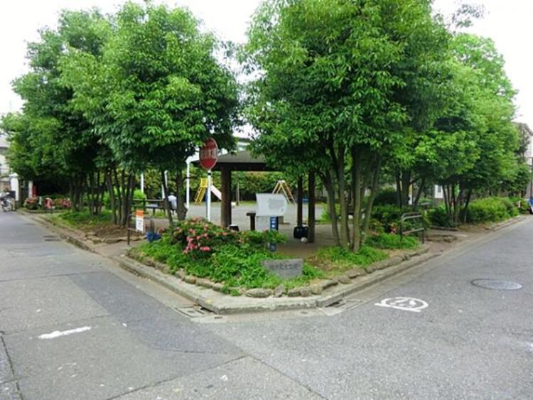 周辺 龍子児童公園　500ｍ