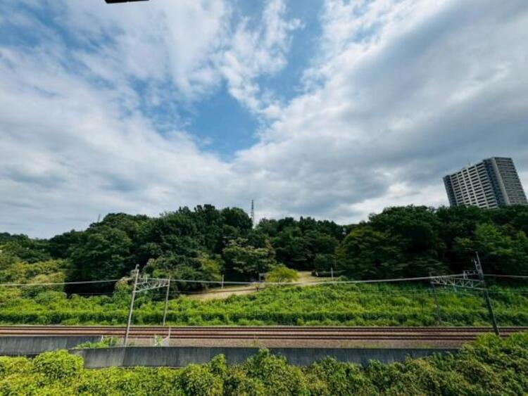 その他 【2025年8月撮影】