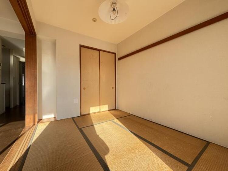 その他 【2025年11月撮影】