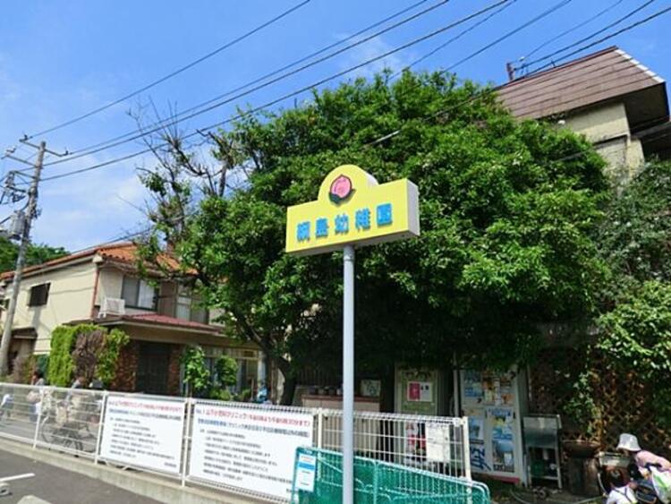 周辺 綱島幼稚園まで約800ｍ