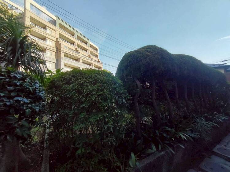 その他 陽当たり・通風・開放感に恵まれた環境です。