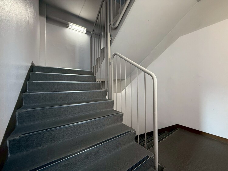その他 共用部の階段です。明るく清潔に管理されています。