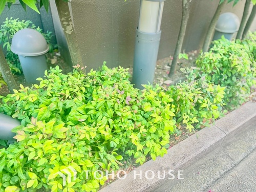 東京都杉並区和泉二丁目の物件の画像