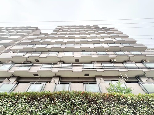 レクセル下落合第１の物件画像