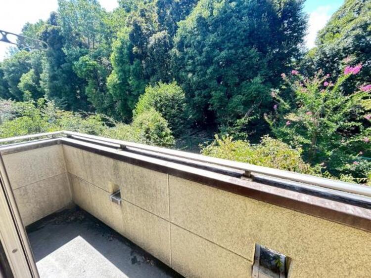 バルコニー 【2025年8月撮影】