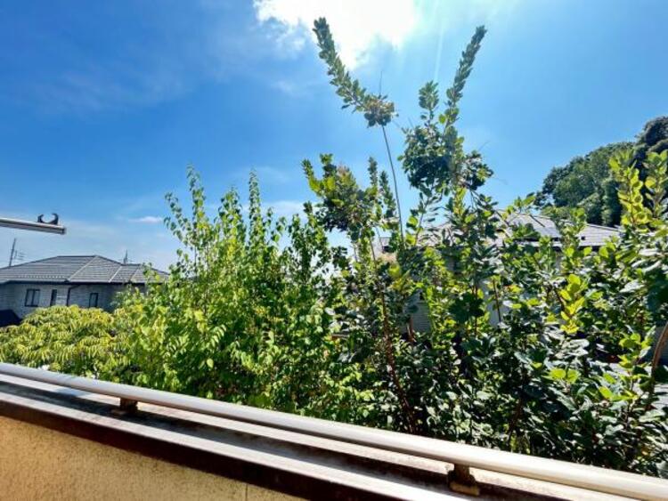 その他 【2025年8月撮影】