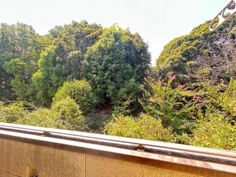 その他 【2025年8月撮影】