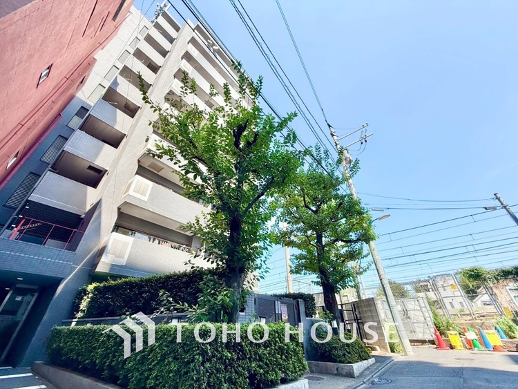 内装 ◆癒しの空間◆室内構成に拘り採光とセンスを散りばめた空間。それは『柔らかさ』に似た素敵な居場所。そこに暮らす人のことを考えつくり出したものは『癒し』という心地よい居場所なんだと思う