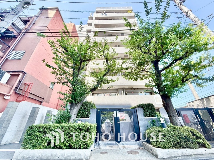 内装 ◆木漏れ日◆の様な採光が優しく足元を照らし、心地いい暮らしの道しるべを写し出す。この空間で過ごす家族との語らいの時間がとても素敵で幸せを感じるかもしれない。