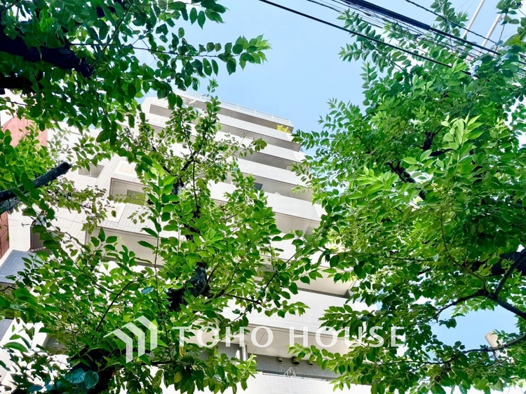 内装 ◆隠された美しさ◆流麗な音楽が流れているような繊細でいながら整然かつ堅牢なこの空間。この空間は確かに美しい。しかし、そこには美しさ以上のものが隠されている。