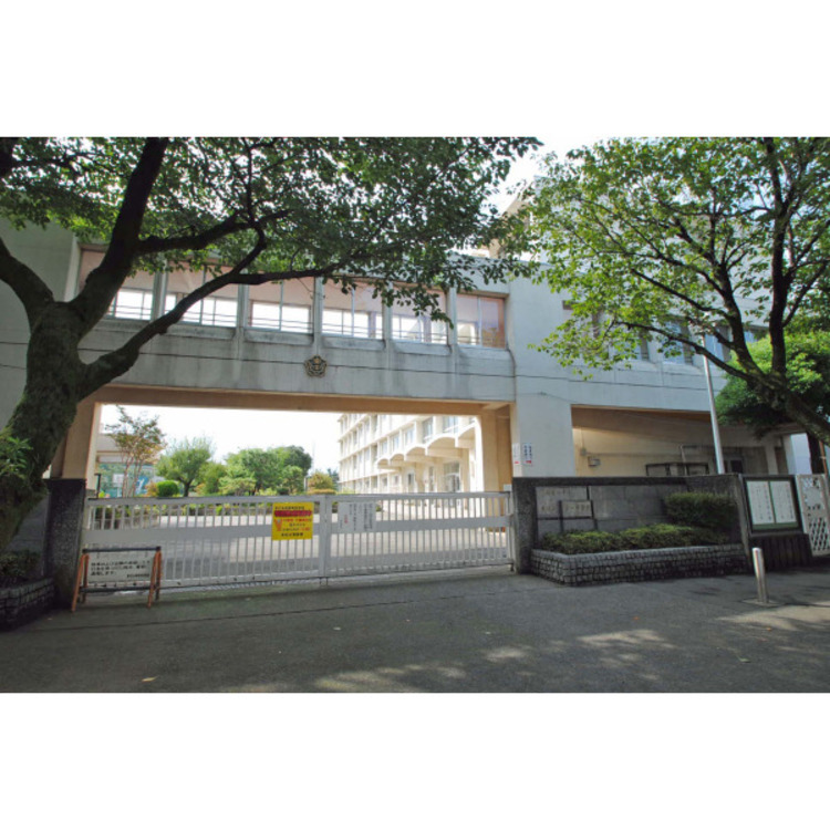 周辺 第一中学校(約240m)