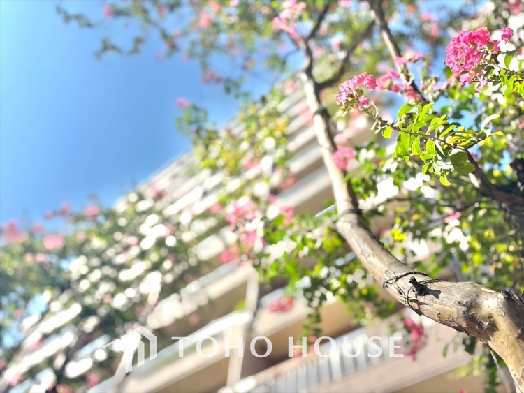 外観 【リフォーム中】気持ちの良い朝をつくりだし、夕方には笑顔を取り戻させてくれるミラー。パウダールームはいつでも本来の自分を取り戻せる空間。明るく仕上げてあります。