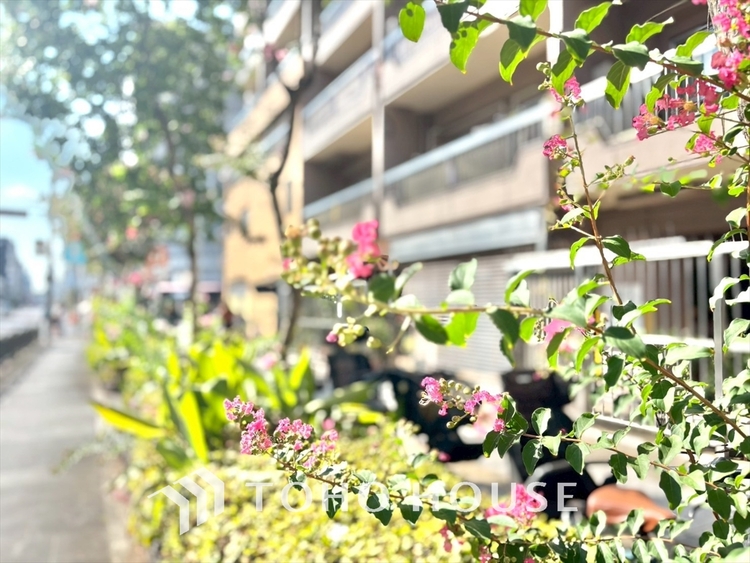 外観 【リフォーム中】◆サンサンと◆差し込む太陽の光がこのリビングに笑いをもたらす。ソファの上のクッションがポカポカした暖気にぬくぬくと微睡んでいる。