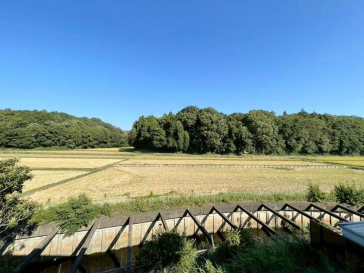 その他 南東側に田園風景が広がり、開放感たっぷりの自然豊かな眺望をリビングから望めます。