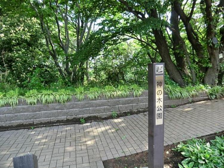 周辺 神の木公園  340m