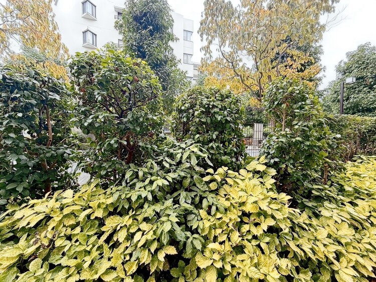 その他 陽当たり・通風・開放感に恵まれた環境です。